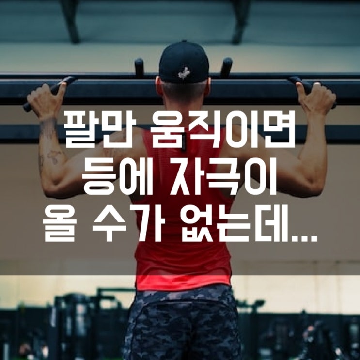 등 운동 자극 잡는 Tip 3가지 : 네이버 블로그