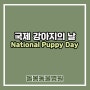 [돌봄동물병원] 국제 강아지의 날 Nation Puppy Day 3월 23일