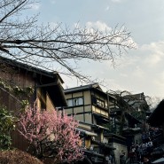 Kyoto 2day: 기요미즈데라 청수사, 야사카 신사, BAL(madu,투데이즈스폐셜), 이치란 라멘 교토, 로프트 교토