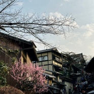 Kyoto 2day: 기요미즈데라 청수사, 야사카 신사, BAL(madu,투데이즈스폐셜), 이치란 라멘 교토, 로프트 교토