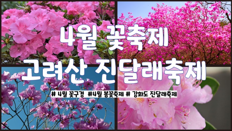 4월 꽃축제, 핑크빛으로 물드는 고려산 진달래축제 : 네이버 블로그