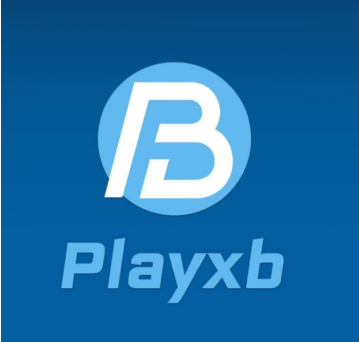 플레이엑스비코인, PXB코인 소개 및 전망 / 프라이빗세일 : 네이버 블로그
