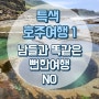 진짜 호주 여행을 보여줄게✨호주 특색 여행 첫 번째 (로열 내셔널 파크 Figure 8 Pools)