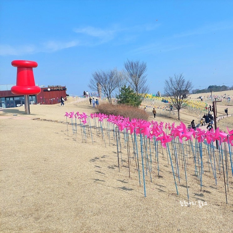파주 임진각 관광지 평화누리공원에서 아이들과 즐거운 시간 보내기 : 네이버 블로그