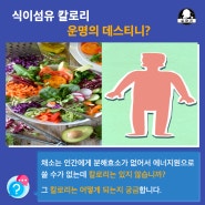 [어반헬스 방배역 PT ] 다이어터에게 식이섬유란?