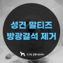 말티즈 수컷 방광결석 수술 제거 봉합 치료 - 서울 불광동 연신내 도그원 동물의료센터