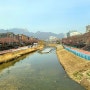 서울 벚꽃 명소 우이천 벚꽃축제 우이천 꽂히다 정보, 둘레길 산책
