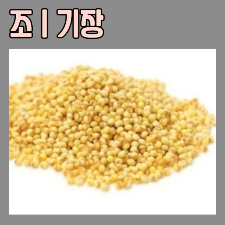 조ㅣ기장 종류와 효능 ️차조,메조,찰기장,메기장 : 네이버 블로그