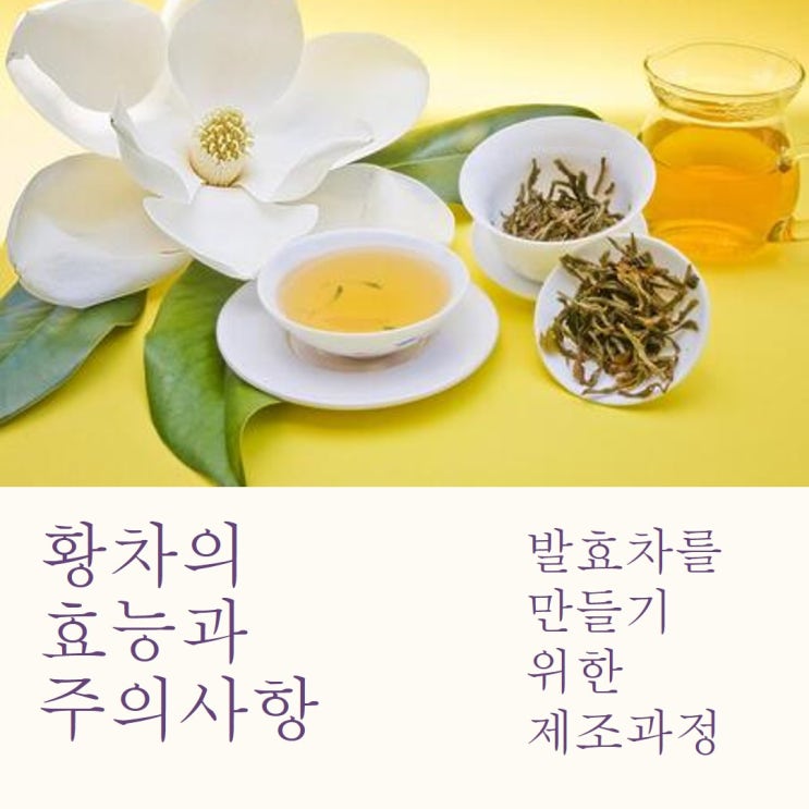 황차 효능 종류 주의사항 제조과정, 발효차 중 특별한 매력 : 네이버 블로그