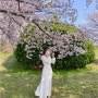 푸디 벚꽃필터 비교 및 추천 + 색감보정 팁 / 부산 대저생태공원 벚꽃