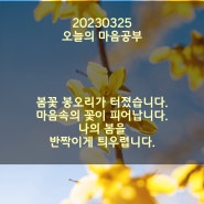 3월25일 토. 감사일기