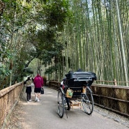 Kyoto 3day : 아라시야마 아라비카%커피 교토, 치쿠린, 미피 키친 베이커리, 도게쓰교 뷰맛집 요시무라 소바