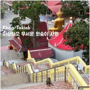 후아힌 여행 선셋 뷰포인트, 카오타키압 사원 (Feat. 조폭 원숭이들)