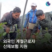 외국인 계절근로자 고용 농어업인 산재보험 지원