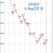 다이어트 3주 차 정체기 관리와 부작용 해결 방안 (Feat. 디톡스 다이어트)