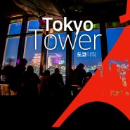 도쿄타워 (야경, 가는법, 도쿄역 출발 무료 셔틀버스, 입장료)