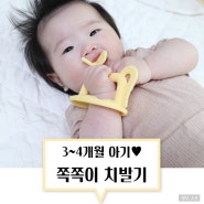 3개월 아기 모윰 마카롱 올 실리콘 쪽쪽이 1단계 메디토이 치발기 열탕 소독