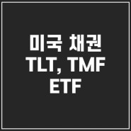 TLTETF, TMFETF 미채권 투자 전략