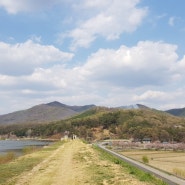 천안 북면 벚꽃 드라이브 & 카페흑