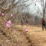 군포 수리산