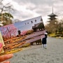 교토여행, 일본 교토 가볼만한곳 교토사찰 토지, 오중탑
