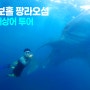 [맨블] 필리핀 보홀 팡라오섬 '리라 고래상어투어' 보홀로드 패키지 투어!