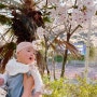 진해 벚꽃축제 예쁜카페 추천- 어씨빅센터커피