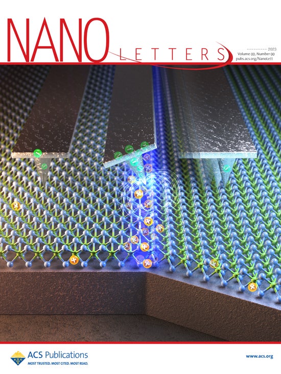 ACS_Nano Letters,논문피겨, sience 논문커버, figure, 논문이미지 제작, 논문표지제작, 논문커버제작,저널 ...
