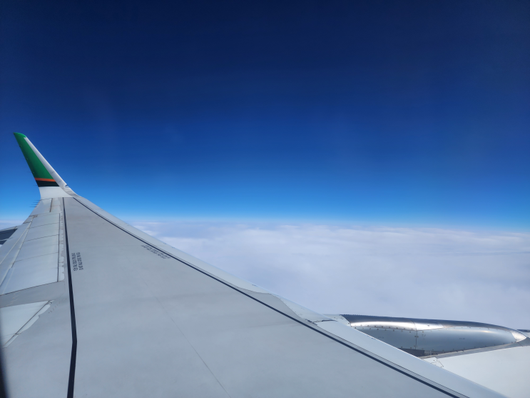 대만 동기여행 4박 5일 - 1 (김포공항, 에바항공 BR155, 대만 e-gate 온라인 입국 신고) : 네이버 블로그