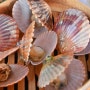 연화리해녀집에서 화명동 해산물 잔뜩 먹고 온 날