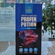 프로펜 포션 PROFEN POTION 솔방울병, 에로모나스, 칼럼나리스 동물약국 청주동물약국 늘봄동물약국