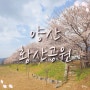 2023년 봄 여행 부산 근교 벚꽃 구경 양산 황산공원