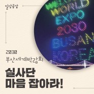 [2030 부산세계박람회] 부산 유치 위해 각종 행사·공연 개최, 12개 부처 힘 모은다