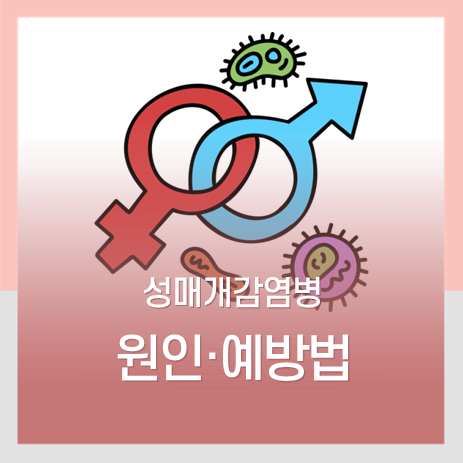 성병 바로알기 :: 방치하면 암, 불임이 될 수도있는 성매개감염병(성병) 원인·예방법에대해 알아보아요! 임신중 태아를위해 꼭 ...