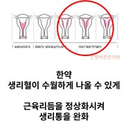 치료후기 / 여자 아랫배통증 / 여성 골반 허리통증 / 여성 생리통