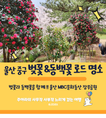 울산 중구 학성동 벚꽃추천명소 MBC문화동산 장무공원 벚꽃...