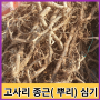 고사리 육개장 고사리나물볶음 비빔밥에 들어가는 고사리 종근(뿌리) 심기