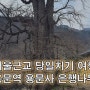 서울근교 당일치기 여행 전철타고 양평 용문역 용문사 은행나무 보고 온 봄 나들이