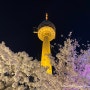 2023 대구 벚꽃명소 이월드 83타워 다녀왔어요 (+포토스팟 추천)
