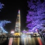 서울 롯데타워 야경과 석촌호수 밤벚꽃