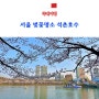 서울 벚꽃명소 잠실 석촌호수 데이트코스 벚꽃개화시기