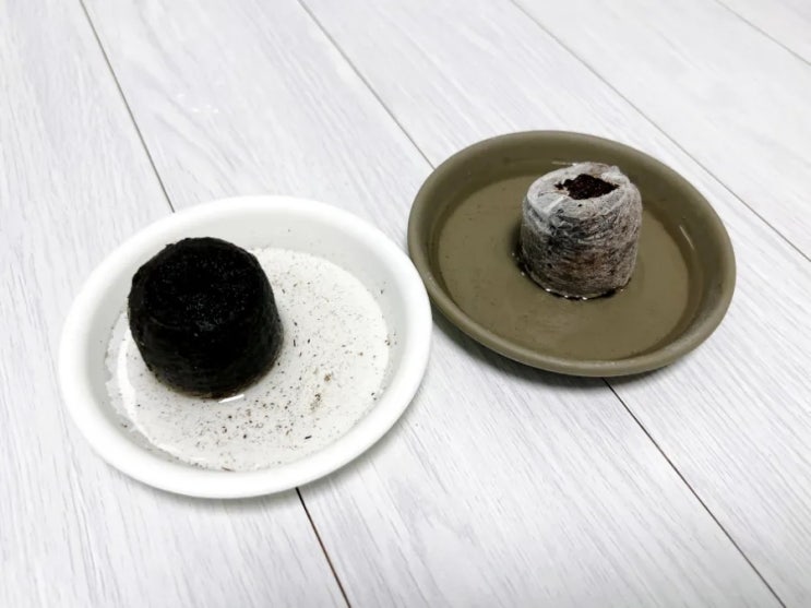 지피펠렛 7 vs 7c 비교, 자구 틔우기 도전!! : 네이버 블로그