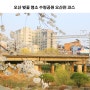 오산 벚꽃 명소 개화시기 수청공원 현충탑 오산천 코스
