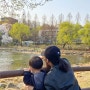 서울 아이랑 갈만한곳, 보라매공원 어린이놀이터 개나리 벚꽃 매화 만개 중 (지도, 주차 정보)