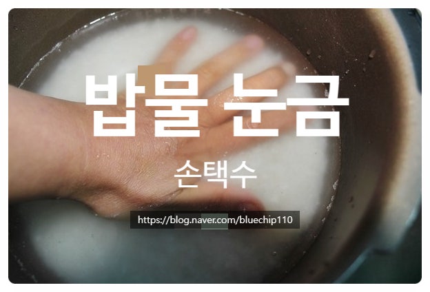 밥물 눈금 - 손택수 : 네이버 블로그
