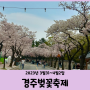 2023년 경주벚꽃축제 대릉원 돌담길 (3월 31일 ~ 4월 2일)