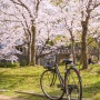 일본 오사카 날씨 옷차림 여행 tip 벚꽃 현황까지!