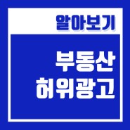 부동산 허위광고 및 불법광고 특별단속, 행정처분