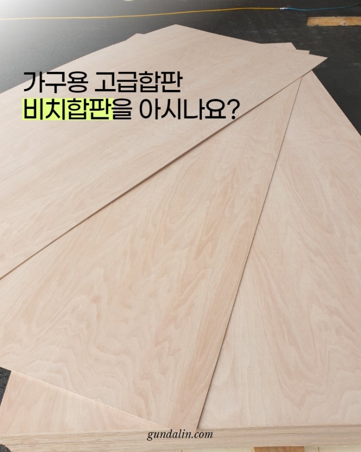 가구용 합판, 비치합판을 아시나요? (ft.자작나무와의 차이점은?) : 네이버 블로그