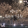 부산 근교 양산 한적한 벚꽃 명소 양산워터파크 공원, 새들교